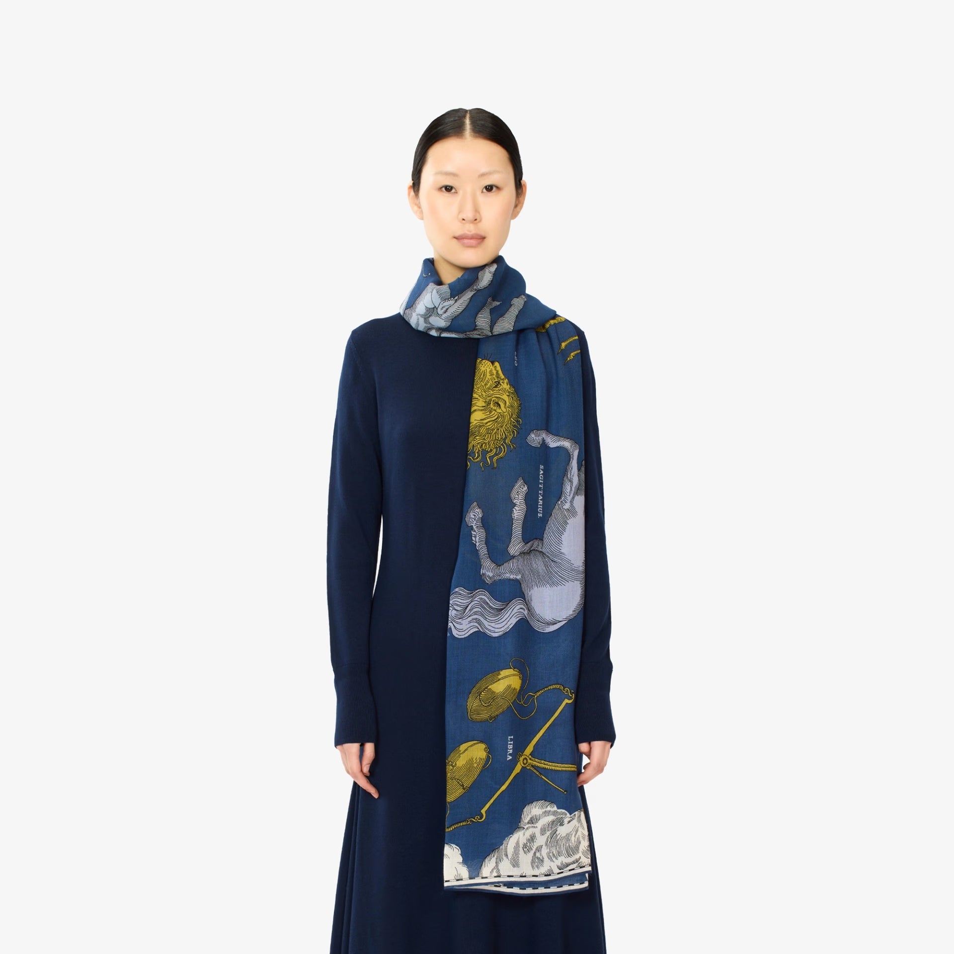 Scarf 100 - astrologie duck blue